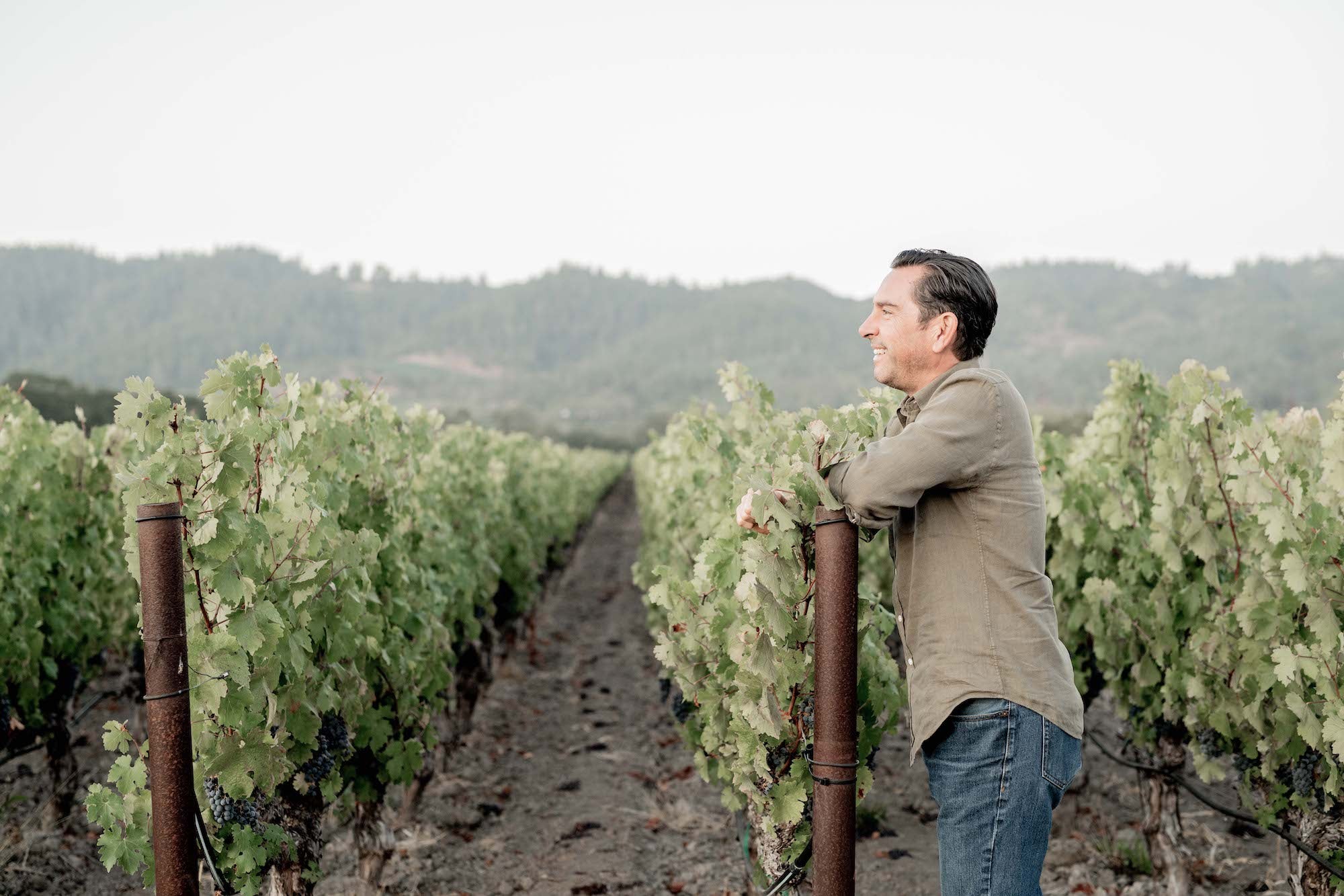 andy-erickson-in-wine-spectator-to-kalon-vineyard-company