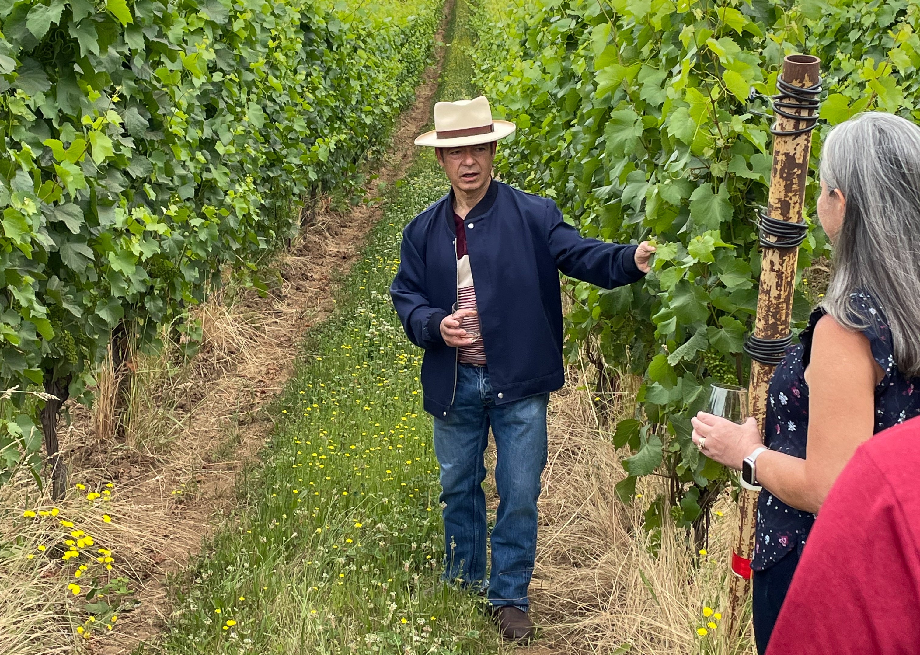 Master Sommelier Larry Stone Unearths To Kalon Vineyard’s Historic Leg Master Sommelier Larry Stone Unearths To Kalon Vineyard’s Historic Leg